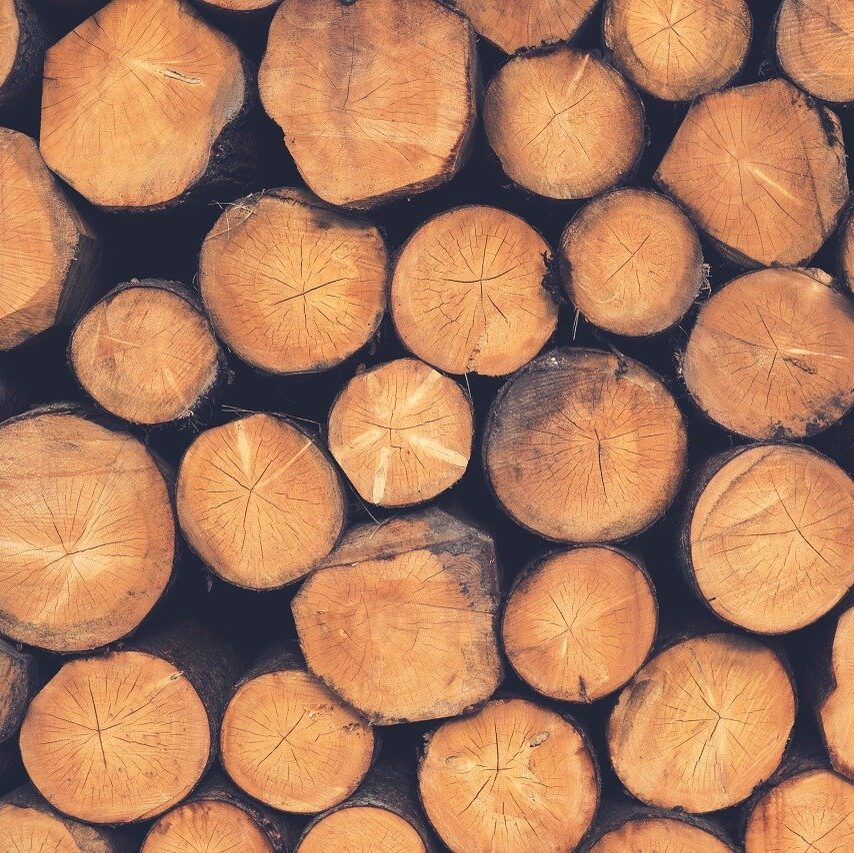 住宅に国産材を使用した場合のメリットとデメリットとは？